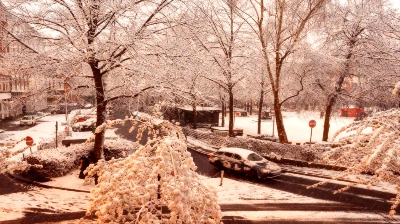 Warum 10.000 Deutsche in vier Stunden nach \"Wintereinbruch\" gesucht haben – und was das über uns verrät 2025-11-07T11:33:41.177Z"